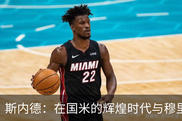 斯内德：在国米的辉煌时代与穆里尼奥的深厚情谊